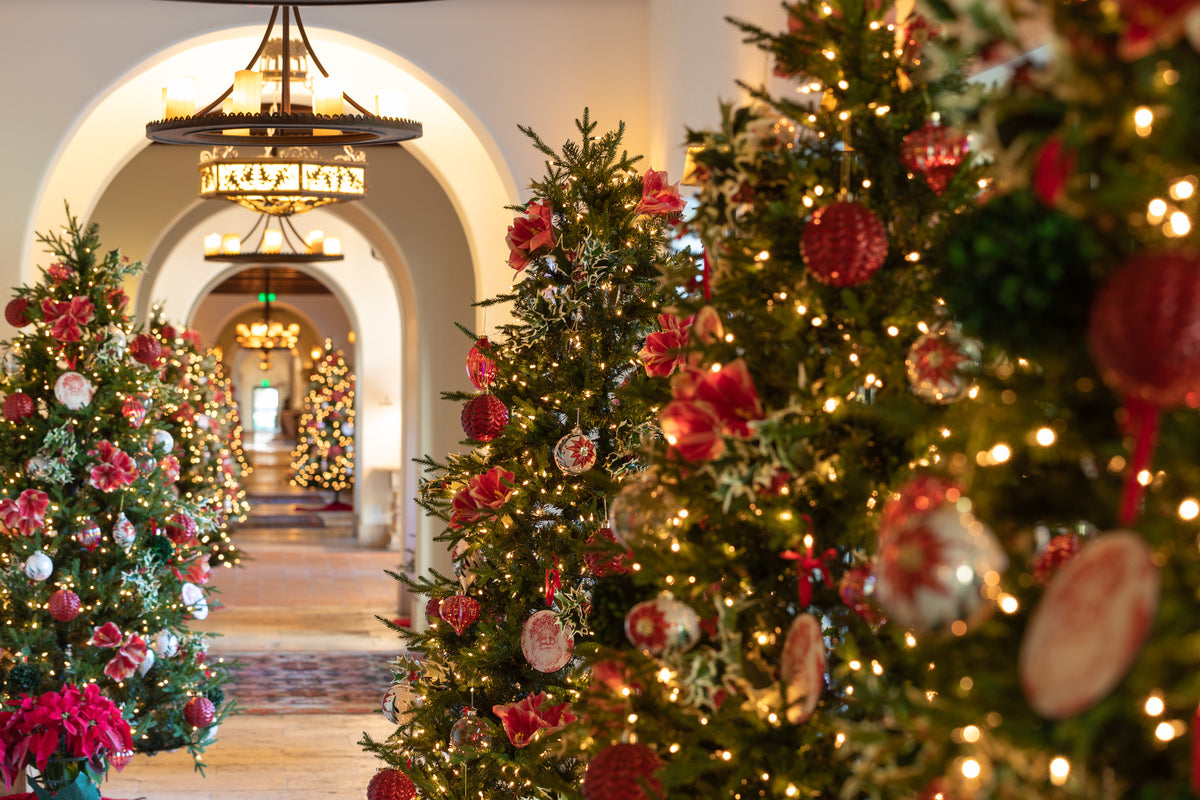 Ornaments Sea Island Shop