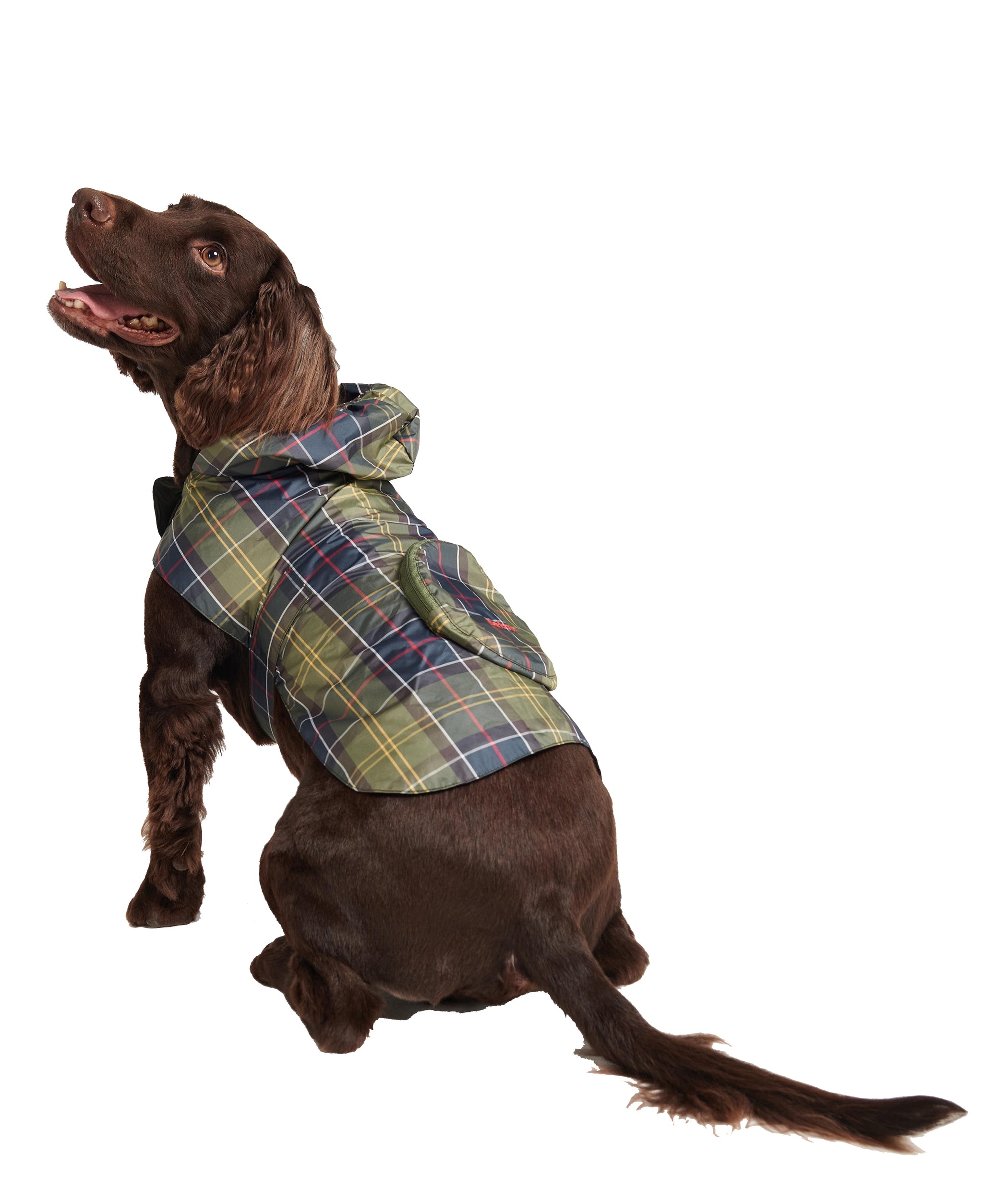 Dog fashion tartan coat